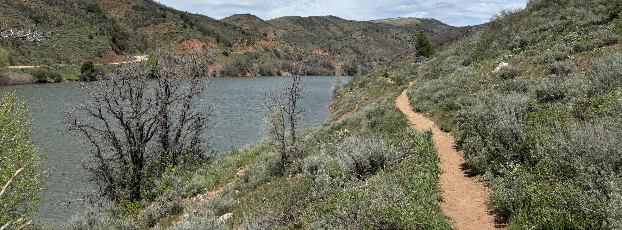 A scenic, wide-angle photograph of a narrow dirt hiking trail winding along a shrub-covered hillside next to a calm reservoir. The light-brown dirt path curves along the right side of the frame, surrounded by gray-green sagebrush, grasses, and low vegetation. To the left, the dark green water of the reservoir stretches into the distance, with a few bare, leafless trees standing on the grassy shoreline. In the background, rolling hills with sparse vegetation and patches of reddish-brown soil rise under a partly cloudy sky.