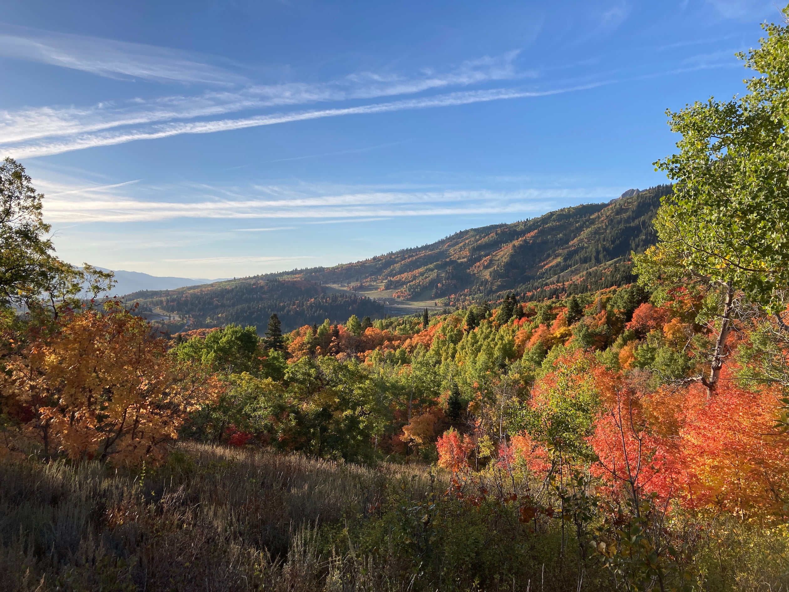 Featured image for “Your Guide to Leaf Peeping in the Ogden Valley”